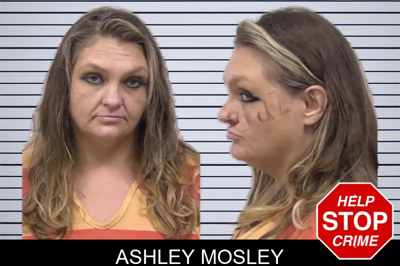 Ashley Mosley mugshot – Paulding County , Georgia Ashley Mosley mugshot