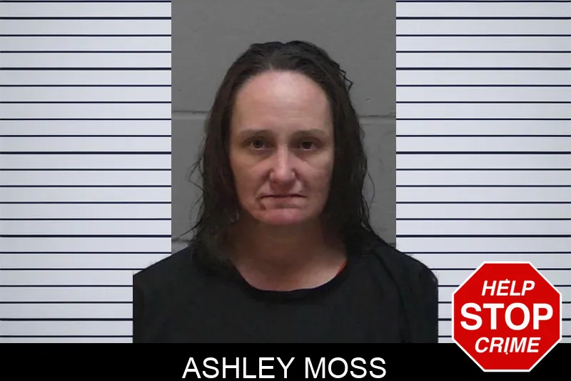 Ashley Moss mugshot – Madison County , Georgia Ashley Moss mugshot