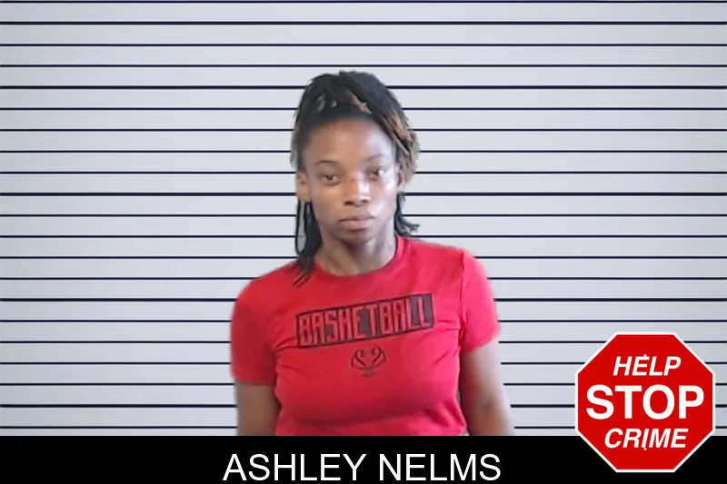 Ashley Nelms mugshot – DeKalb County , Georgia Ashley Nelms mugshot