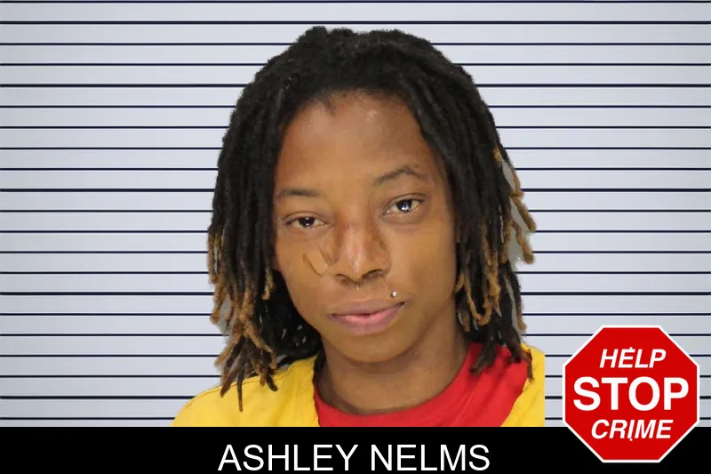 Ashley Nelms mugshot