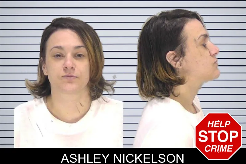 Ashley Nickelson mugshot
