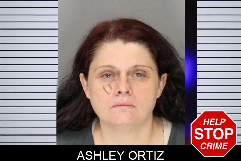 Ashley Ortiz mugshot