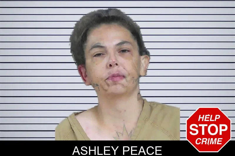 Ashley Peace mugshot