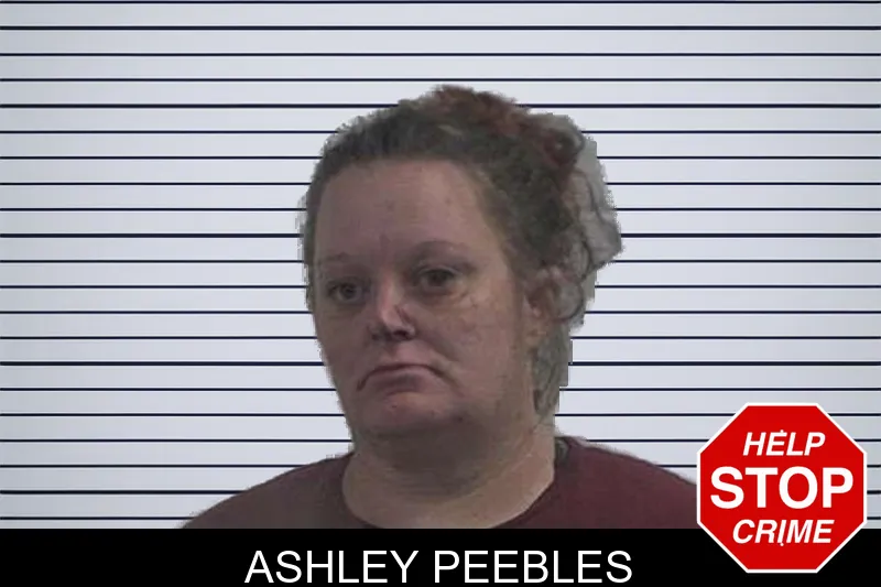 Ashley Peebles mugshot – McDuffie County , Georgia Ashley Peebles mugshot