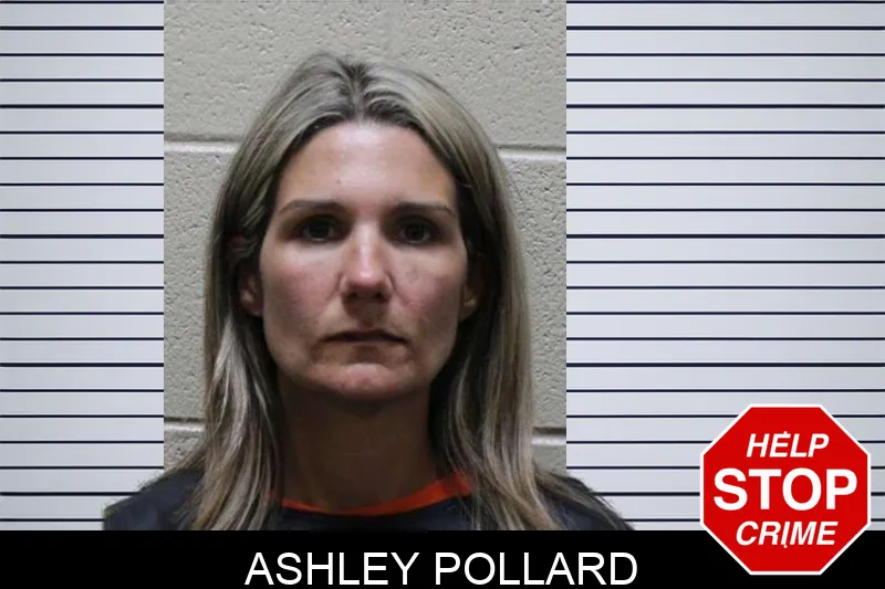 Ashley Pollard mugshot