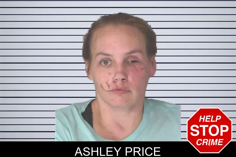 Ashley Price mugshot