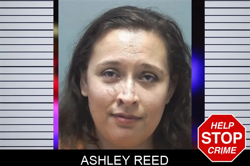 Ashley Reed mugshot