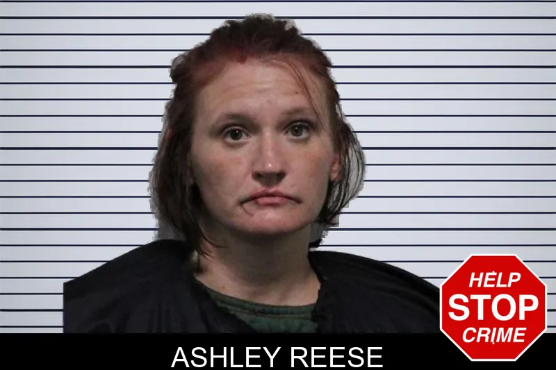 Ashley Reese mugshot – Habersham County , Georgia Ashley Reese mugshot