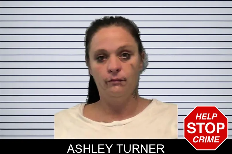 Ashley Turner mugshot