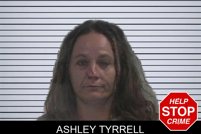 Ashley Tyrrell mugshot