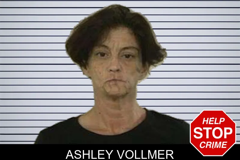 Ashley Vollmer mugshot