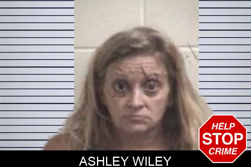 Ashley Wiley mugshot