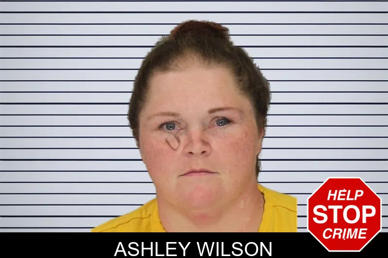 Ashley Wilson mugshot – Cobb County , Georgia Ashley Wilson mugshot