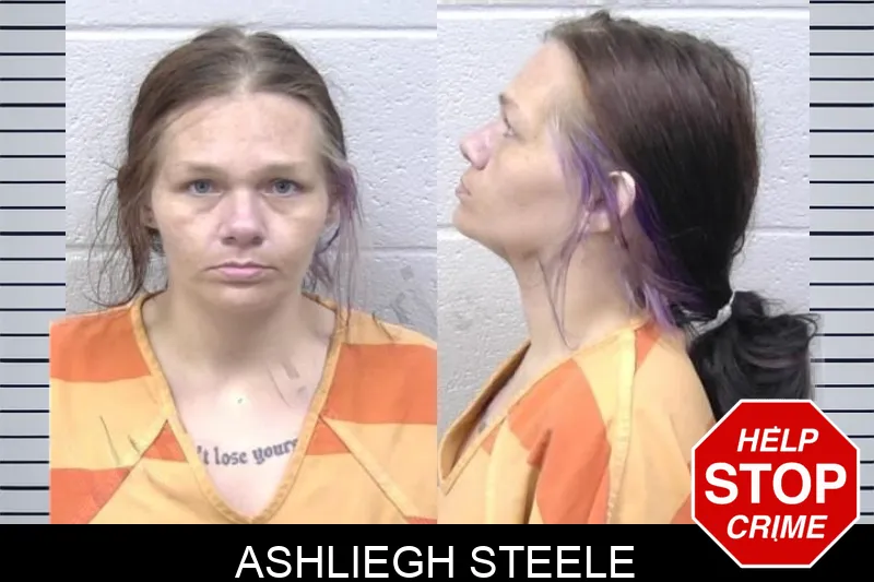 Ashliegh Steele mugshot – Paulding County , Georgia Ashliegh Steele mugshot