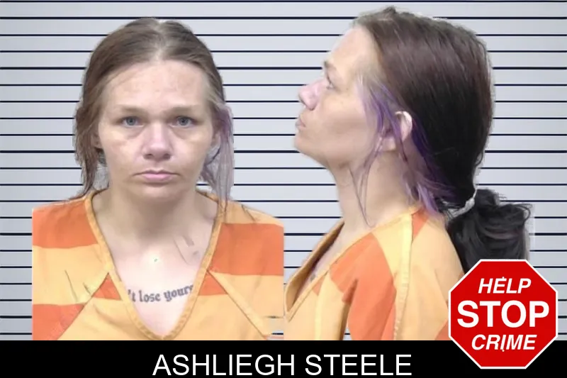 Ashliegh Steele mugshot – Paulding County , Georgia Ashliegh Steele mugshot