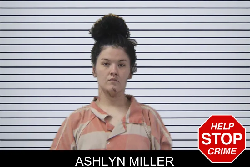Ashlyn Miller mugshot – Stephens County , Georgia Ashlyn Miller mugshot