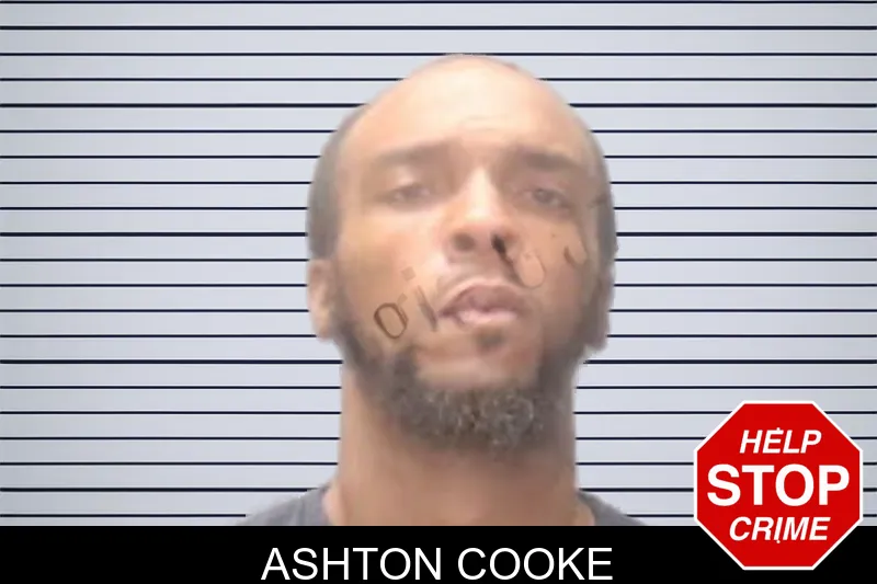 Ashton Cooke mugshot