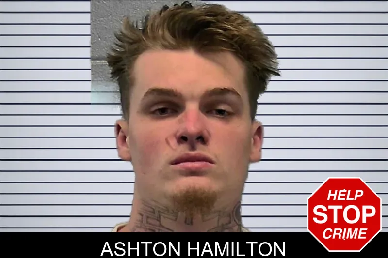 Ashton Hamilton mugshot – Ware County , Georgia Ashton Hamilton mugshot