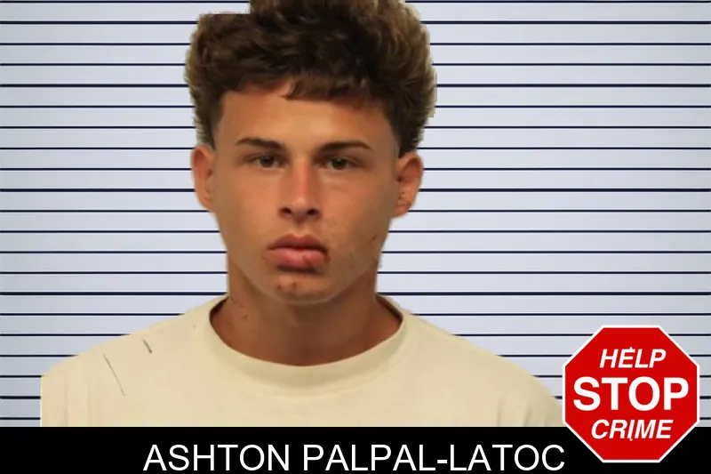 Ashton Palpal-Latoc mugshot