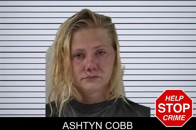 Ashtyn Cobb mugshot