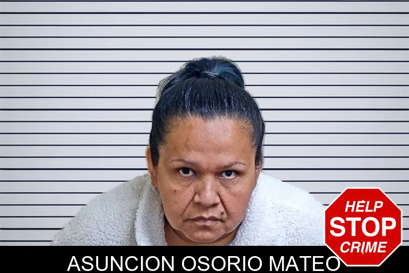 Asuncion Osorio Mateo mugshot – Gwinnett County , Georgia Asuncion Osorio Mateo mugshot