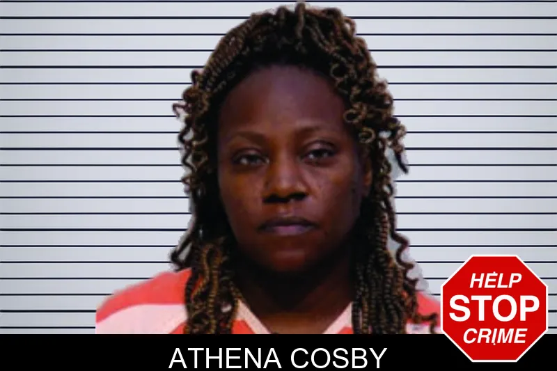 Athena Cosby mugshot – Bartow County , Georgia Athena Cosby mugshot