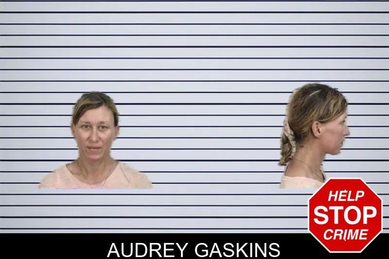 Audrey Gaskins mugshot