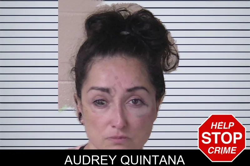 Audrey Quintana mugshot – Walker County , Georgia Audrey Quintana mugshot