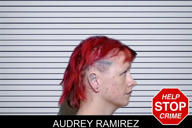 Audrey Ramirez mugshot