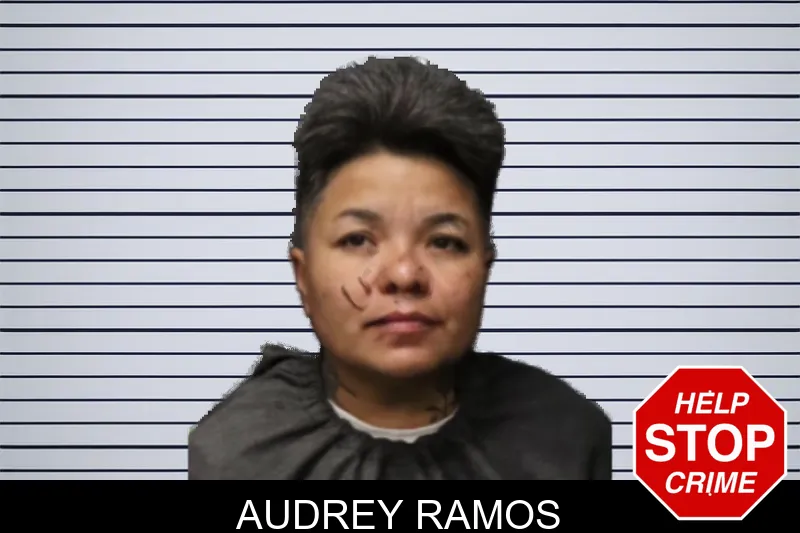 Audrey Ramos mugshot – Forsyth County , Georgia Audrey Ramos mugshot