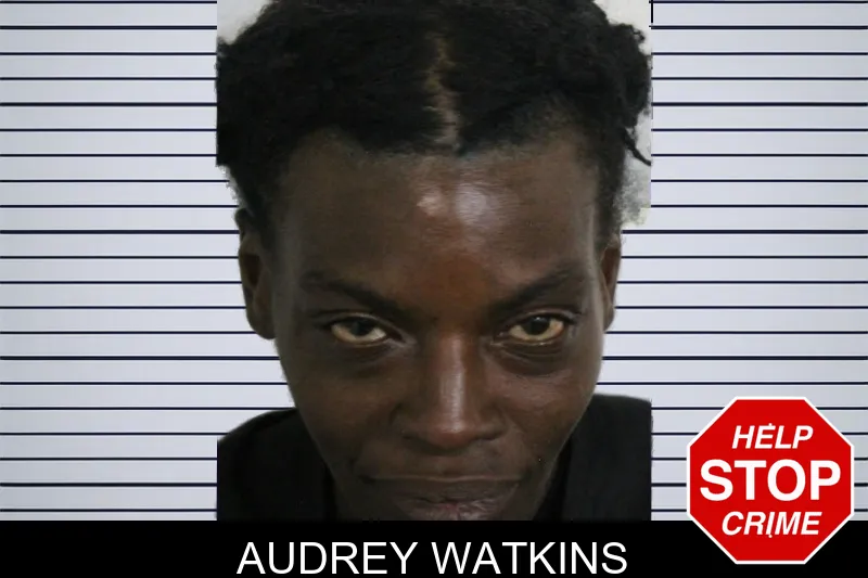 Audrey Watkins mugshot