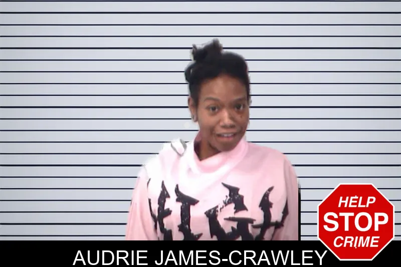 Audrie James-Crawley mugshot – Emanuel County , Georgia Audrie James-Crawley mugshot