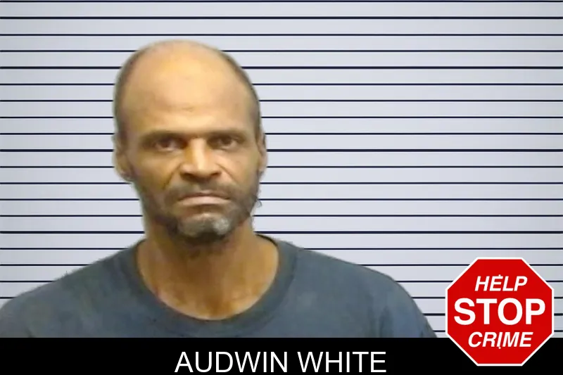Audwin White mugshot – Fulton County , Georgia Audwin White mugshot