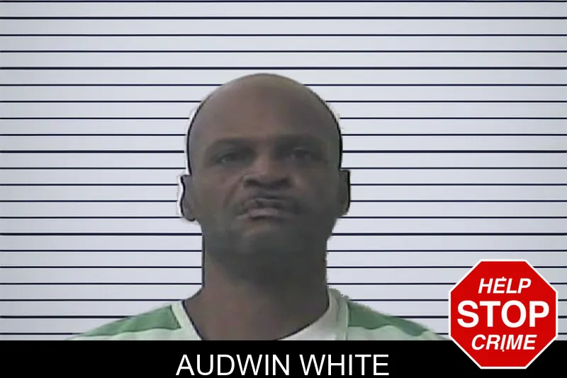 Audwin White mugshot – Oconee County , Georgia Audwin White mugshot