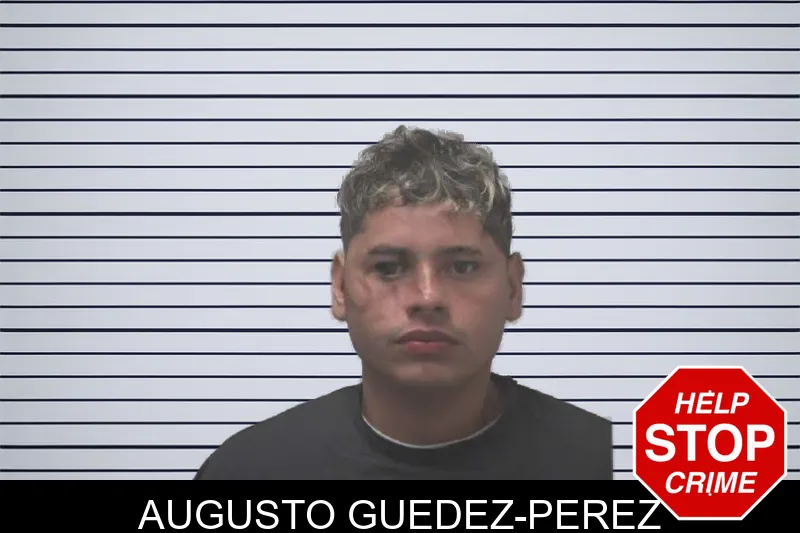 Augusto Guedez-Perez mugshot – Coweta County , Georgia Augusto Guedez-Perez mugshot
