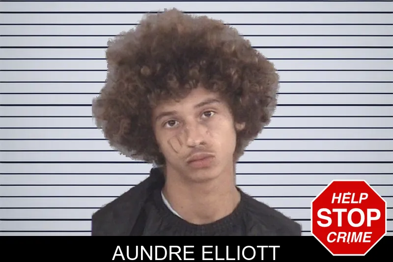 Aundre Elliott mugshot