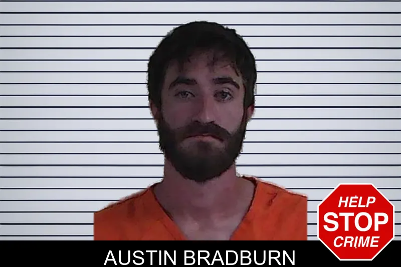 Austin Bradburn mugshot – Fannin County , Georgia Austin Bradburn mugshot