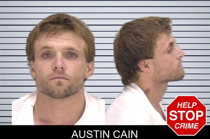 Austin Cain mugshot