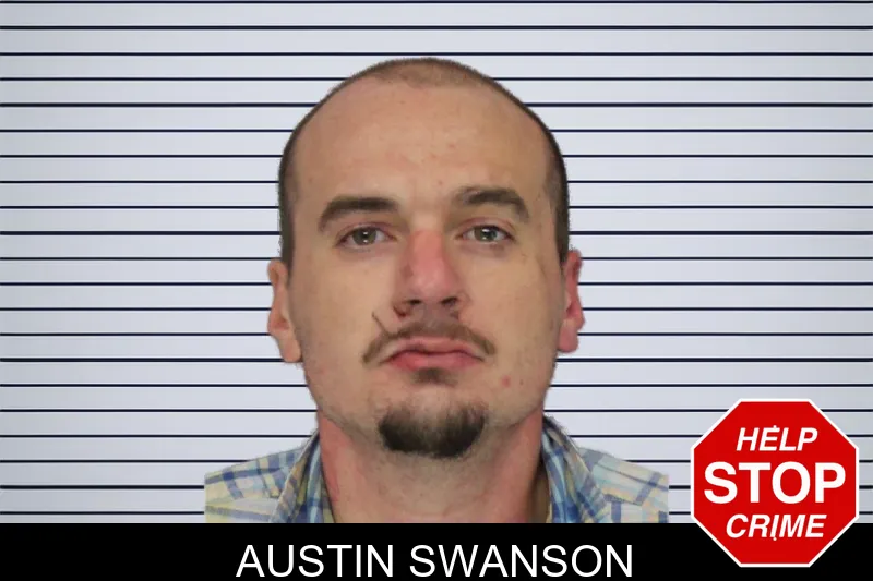 Austin Swanson mugshot