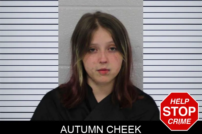 Autumn Cheek mugshot – Carroll County , Georgia Autumn Cheek mugshot