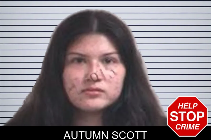 Autumn Scott mugshot – Henry County , Georgia Autumn Scott mugshot