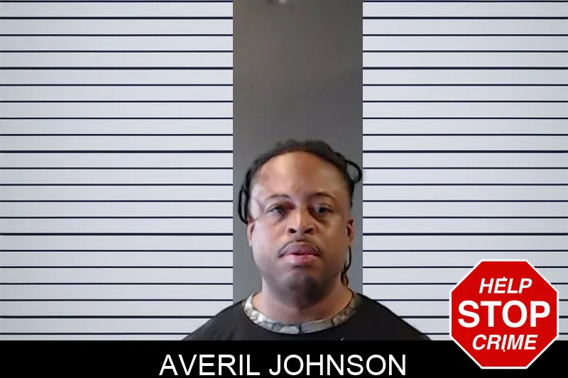 Averil Johnson mugshot