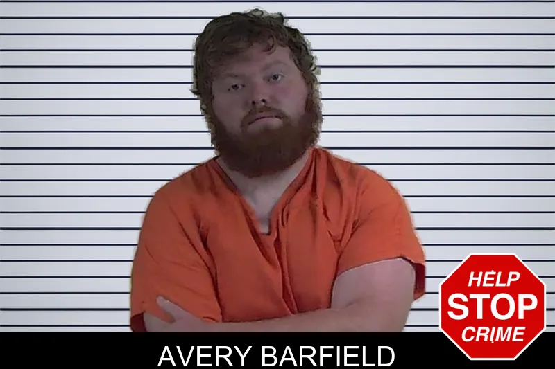 Avery Barfield mugshot – Fannin County , Georgia Avery Barfield mugshot