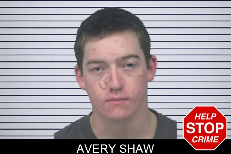 Avery Shaw mugshot