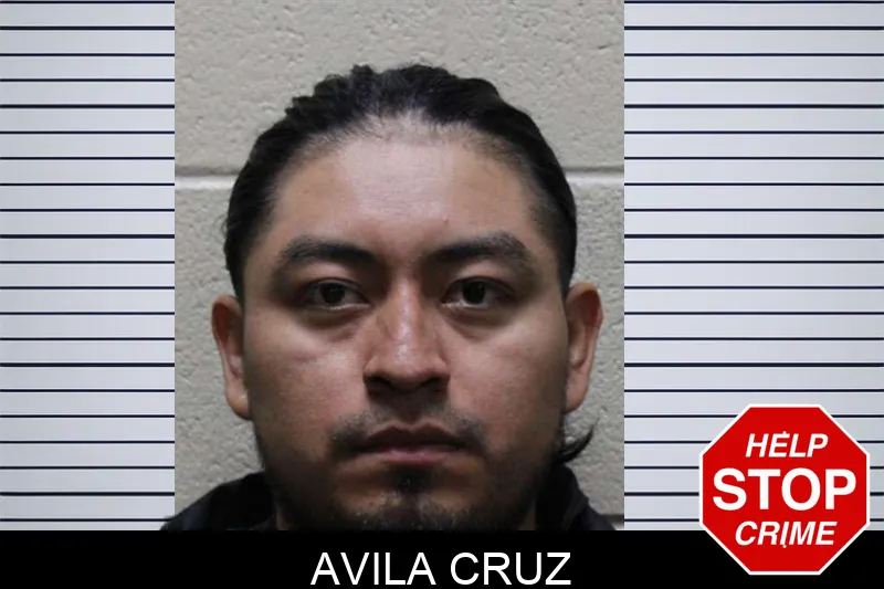 Avila Cruz mugshot