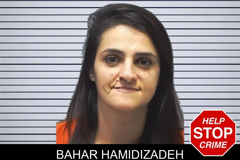 Bahar Hamidizadeh mugshot