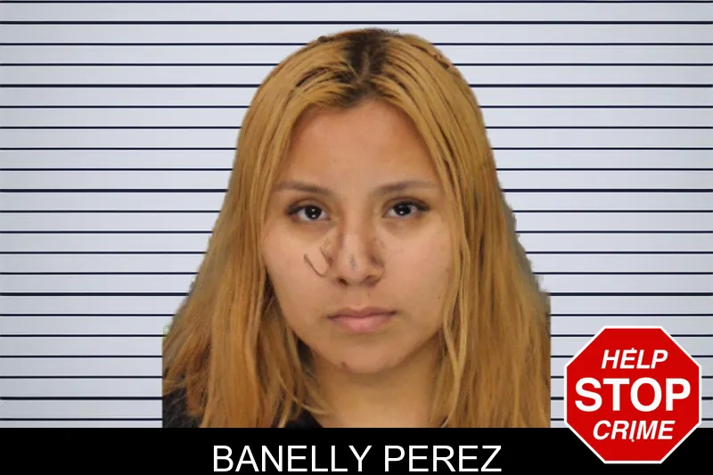 Banelly Perez mugshot