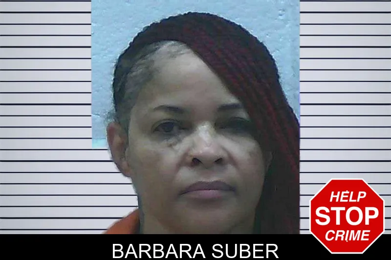 Barbara Suber mugshot