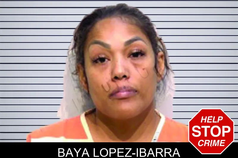 Baya Lopez-Ibarra mugshot – Bartow County , Georgia Baya Lopez-Ibarra mugshot