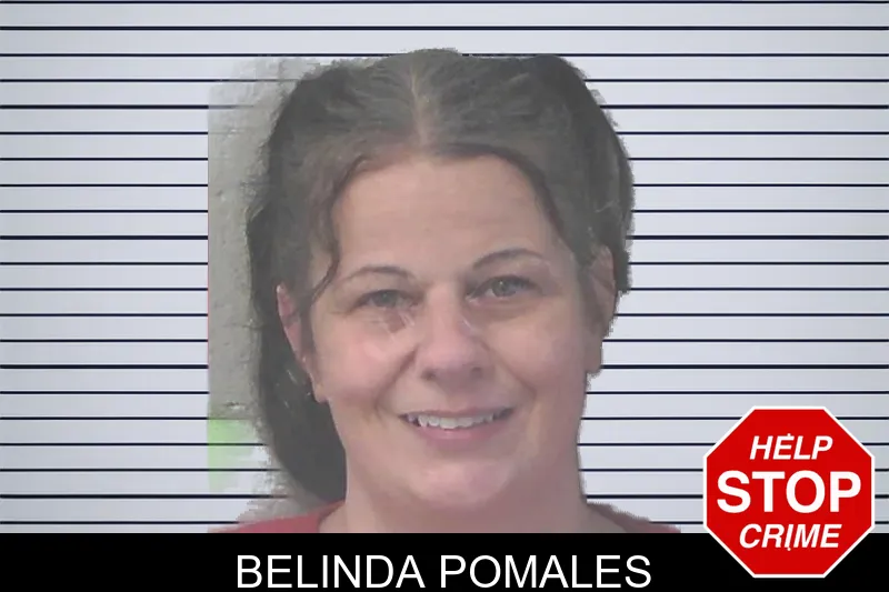 Belinda Pomales mugshot – Newton County , Georgia Belinda Pomales mugshot